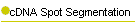 cDNA Spot Segmentation